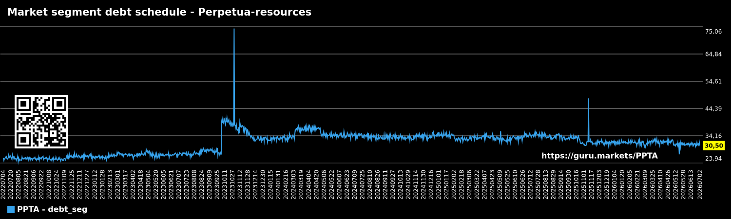 Market segment debt schedule - Perpetua-resources